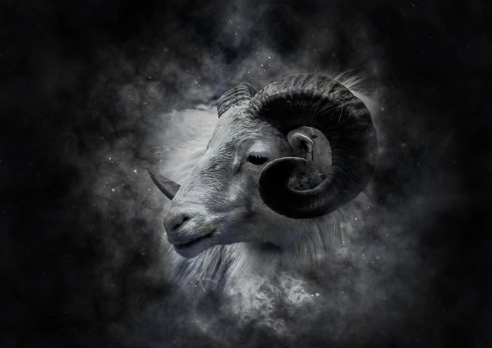 What Are Aries Spirit Animals?