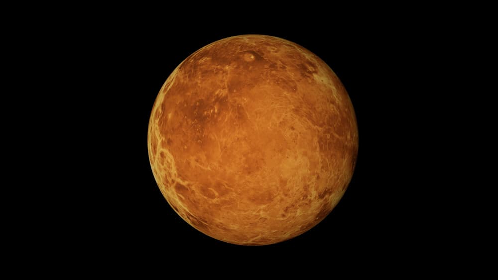 Venus Rx