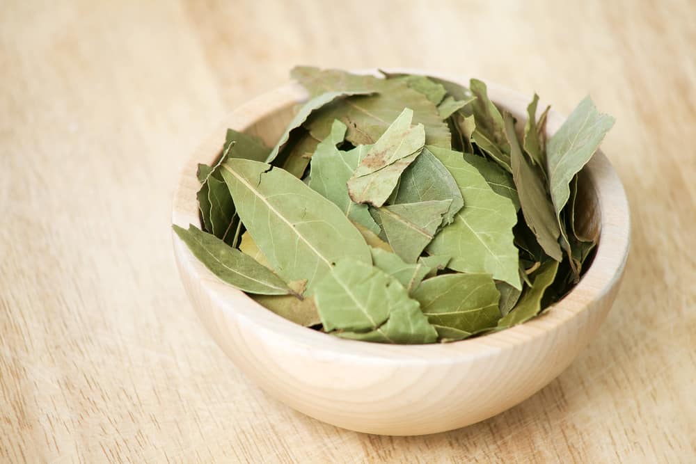 How To Manifest With Bay Leaves