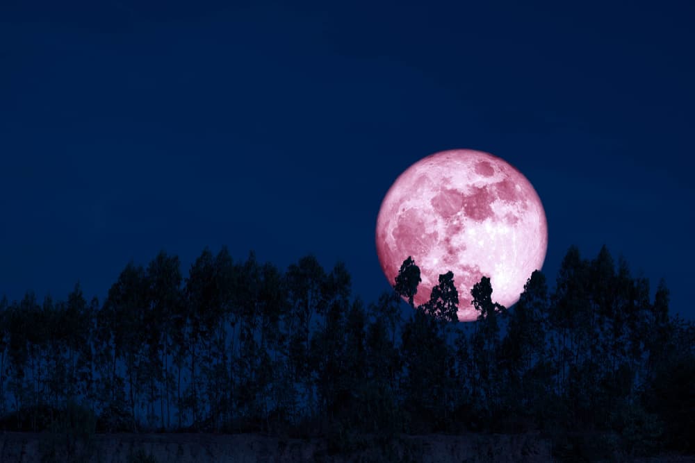 10 Tips To Manifest On A Pink Moon