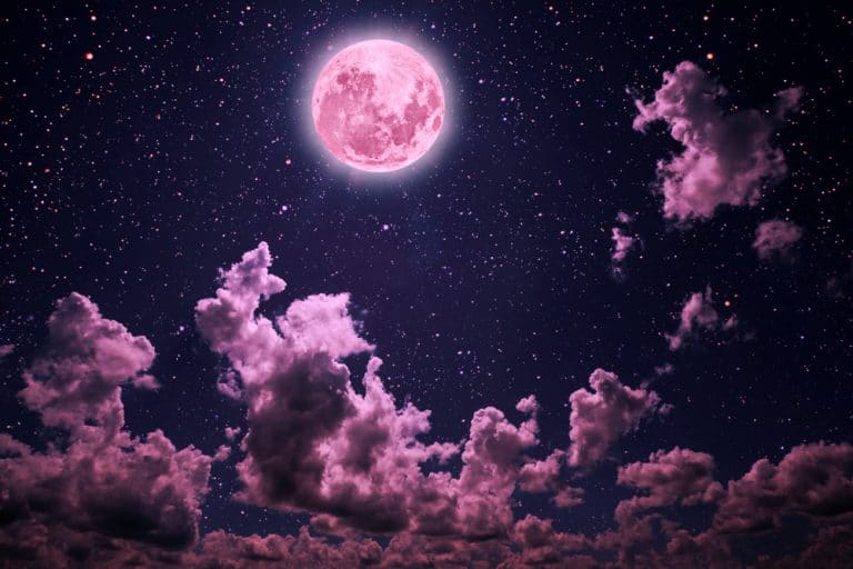 10 Tips for Manifesting on a Pink Moon | LeadByStars