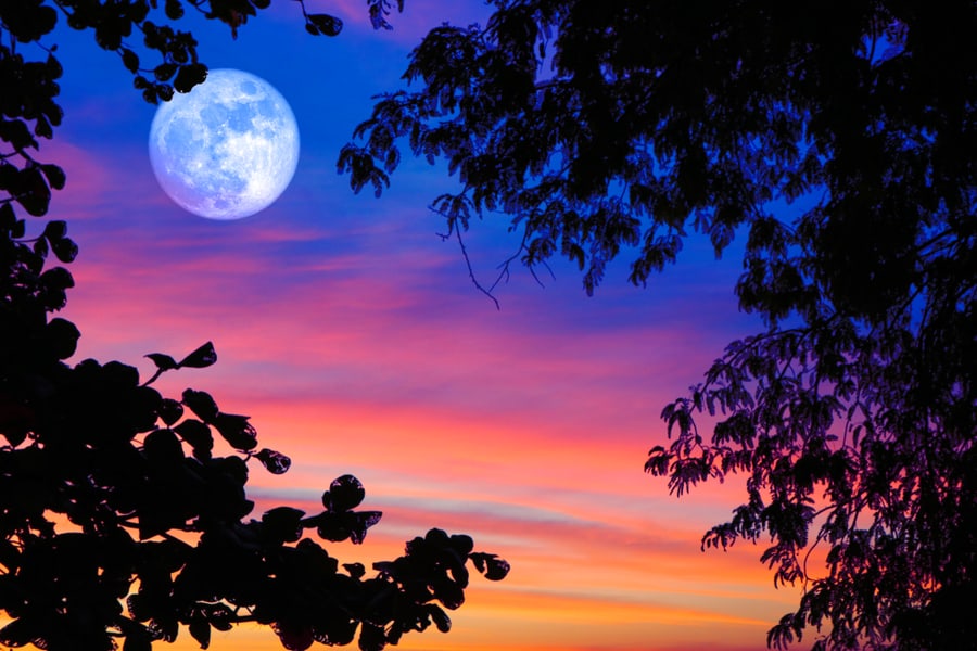 10 Steps To Manifest On A Full Moon