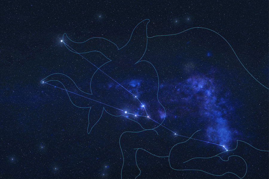 April Taurus Vs May Taurus Complete Comparison LeadByStars