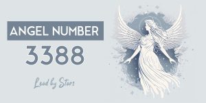 Angel Number 3388
