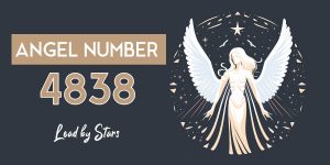 Angel Number 4838